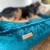 Morskie welur4-min.webp