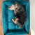 Morskie welur5-min.webp