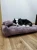 border.webp