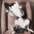wrzos 2.webp