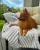 Kocyk bialy1.webp