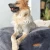 Grafitowa pufa5.webp